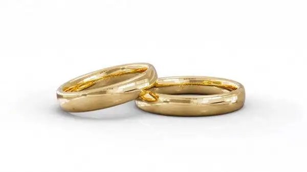 Alianças de Casamento Ouro 18k Tradicional Anatômica